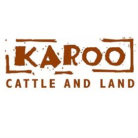 Karoo Cattle and Land (Carlswald)