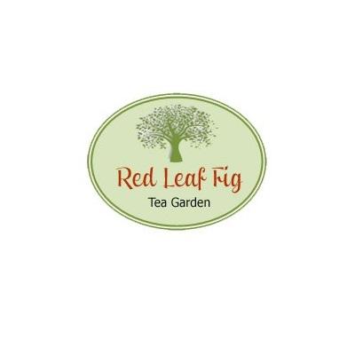 Red Leaf Fig Tea Garden