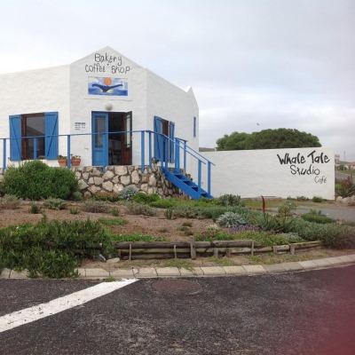Whale Tale Studio Cafe