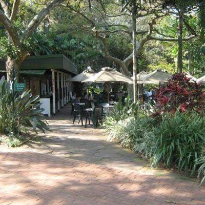 Durban Botanic Gardens Tea Room