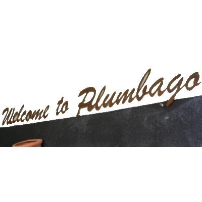 Plumbago Garden Centre and Coffee Shop